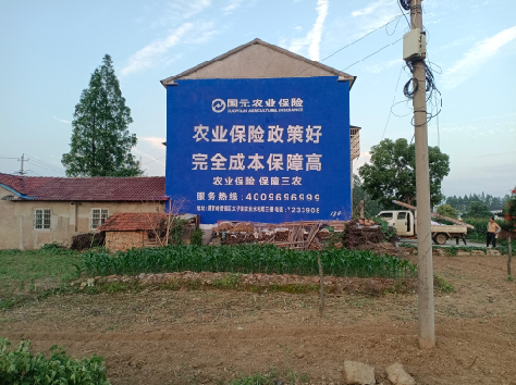 嘉善墙体广告为何受追捧？