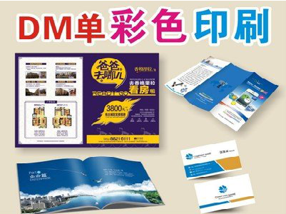 嘉善单页印刷，色彩搭配简单。